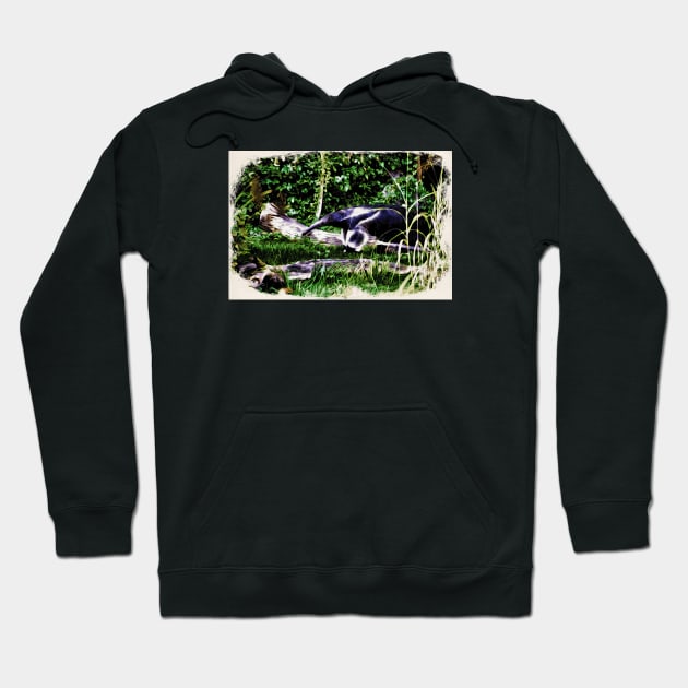 Anteater Hoodie by Wolf Art / Swiss Artwork Photography